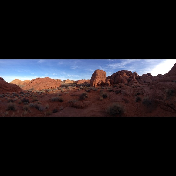 Meet your Posher, Marcie - Picture 1 of 1